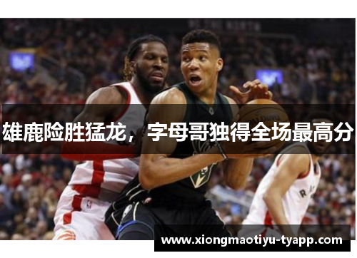 雄鹿险胜猛龙，字母哥独得全场最高分