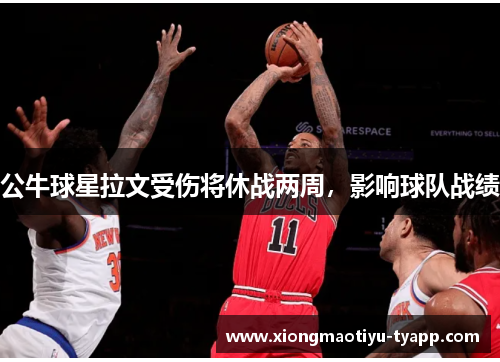 公牛球星拉文受伤将休战两周，影响球队战绩