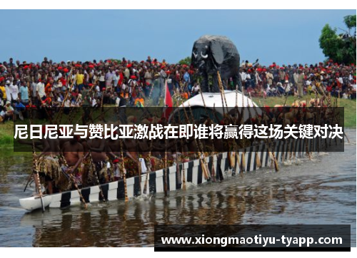 尼日尼亚与赞比亚激战在即谁将赢得这场关键对决