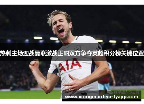 热刺主场迎战曼联激战正酣双方争夺英超积分榜关键位置